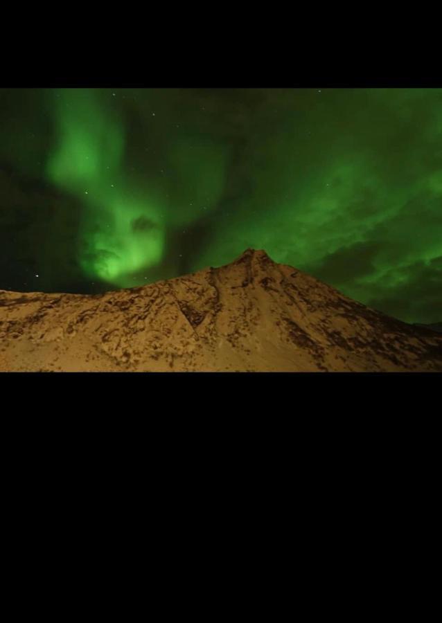 Senja Villa Gryllefjord Kültér fotó